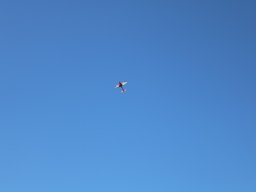 2019-04-19 Anfliegen